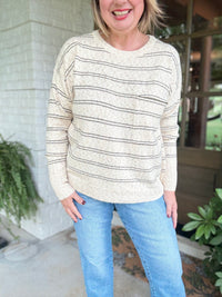 Striped Sprinkled Crew Neck Sweater - Taupe