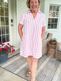 Spring Fling Pink Stripe Dress