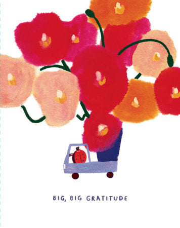Big, big gratitude