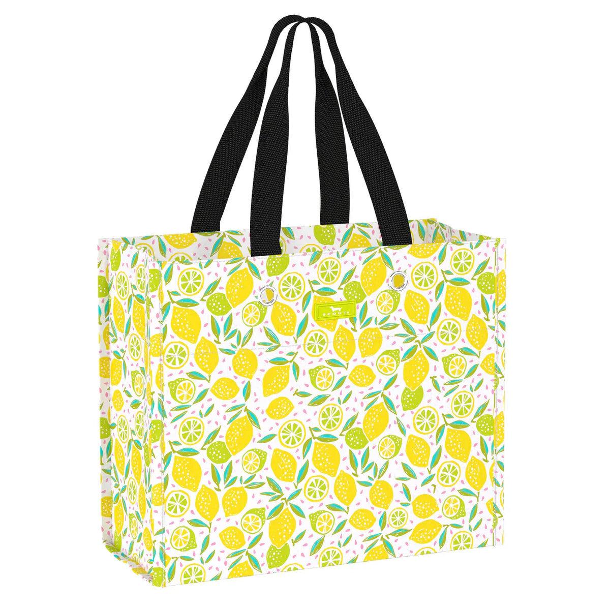 LARGE PACKAGE LEMONCELLO