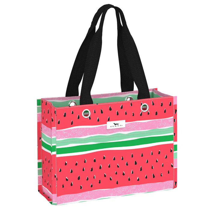 Tiny Package Gift Bag - Melondramatic