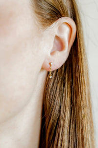 Holland Gold Screwback Stud Earrings