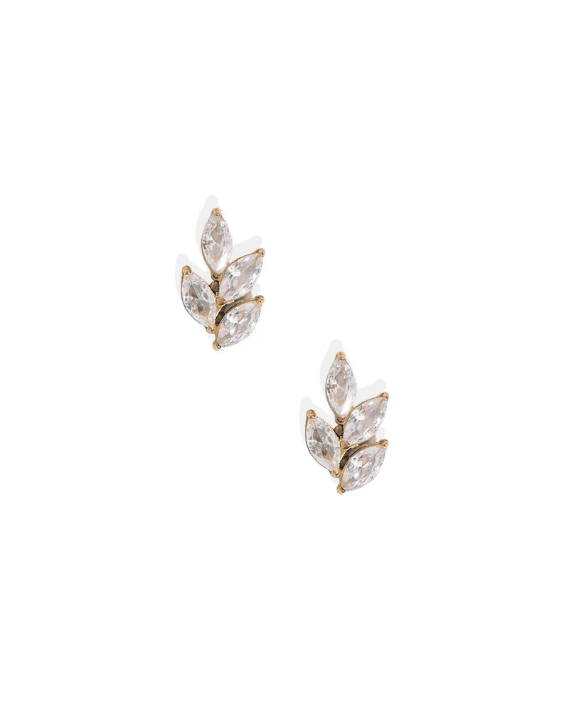 Laurel Gold Screwback Stud Earrings
