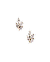 Laurel Gold Screwback Stud Earrings